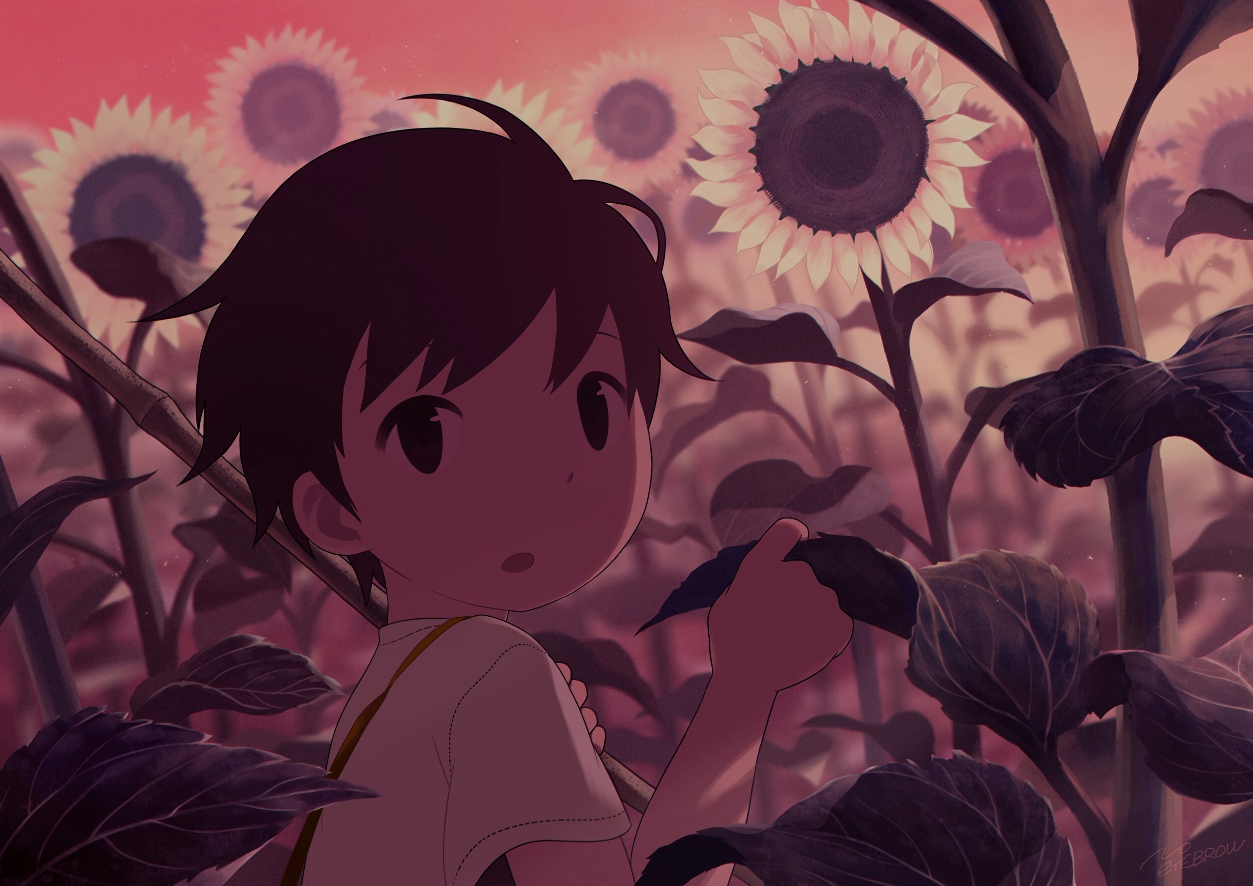 home-banner-background