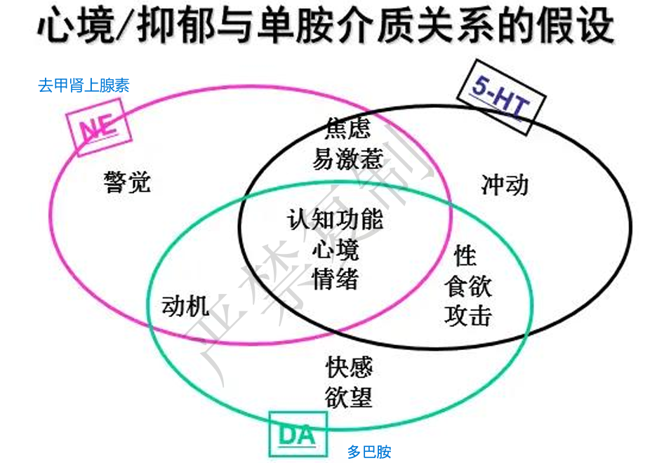 情感障碍