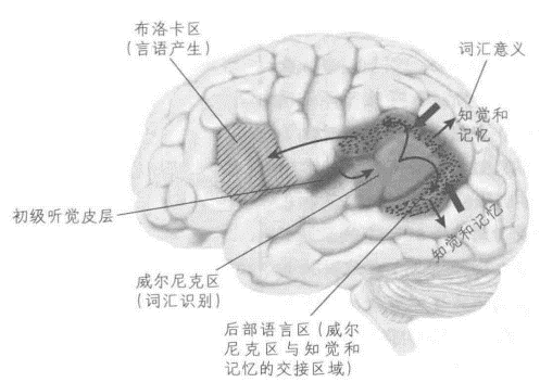 失语症