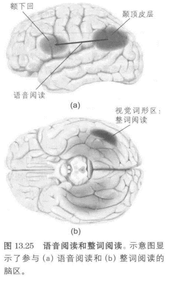 整词阅读